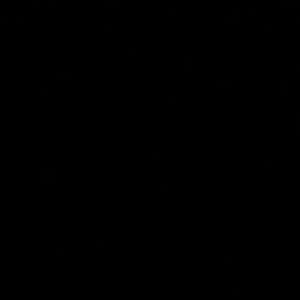 Meet your Posher, Maddie